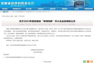 永信贵宾会217集团又三家子公司获批安徽省“专精特新”中幼企业荣誉称号
